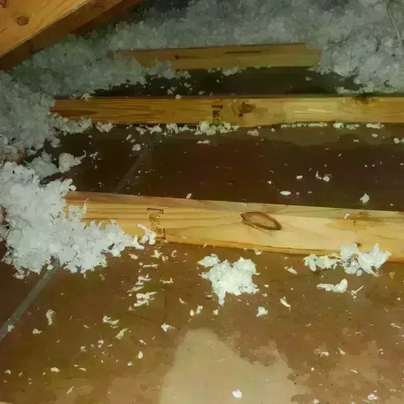 Attic Water Damage in Bloomfield Hills, MI